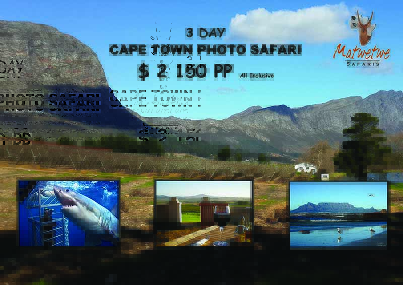 Cape Town special 2025